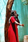 Sudanese Life 72