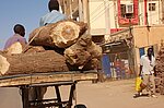 Sudanese Life 46