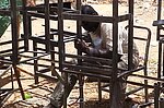 Sudanese Life 57