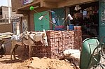 Sudanese Life 47