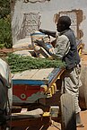 Sudanese Life 84